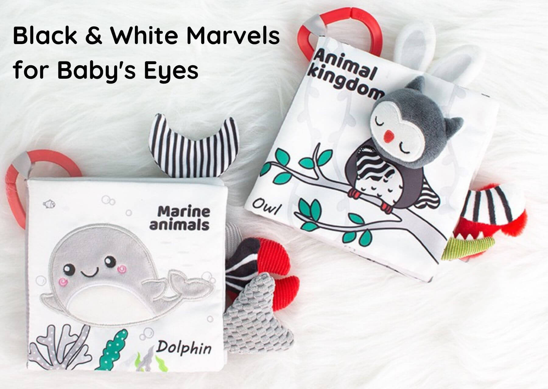 Animal Kingdom - Black&White Soft Tail Book For Babies - Everyday Doll Collection